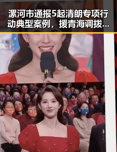 漯河市通报5起清朗专项行动典型案例，援青海调拨1万件中央救灾物资引发关注